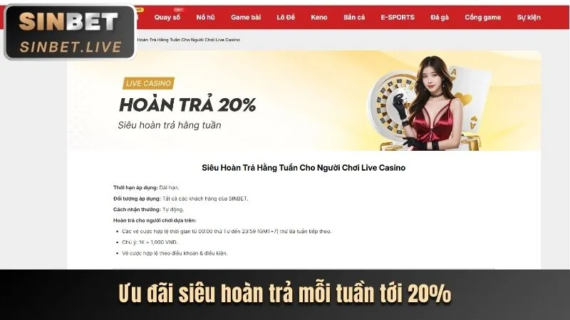 Chương trình VIP và đặc quyền riêng 8kbe